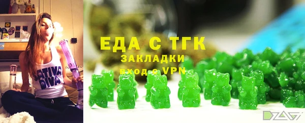 гидра Бородино