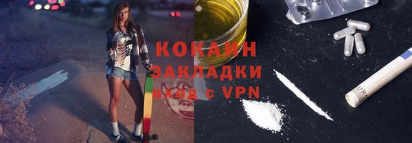 ешки Бронницы