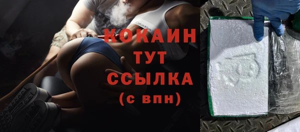 гидра Бородино
