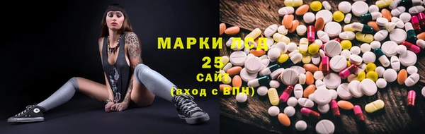 гидра Бородино