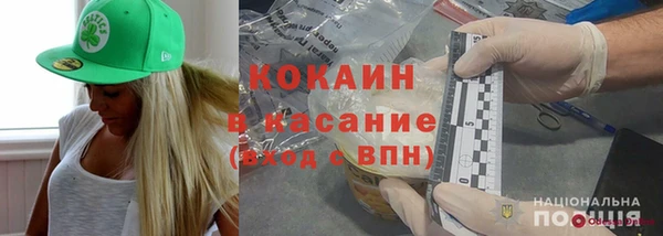 гидра Бородино