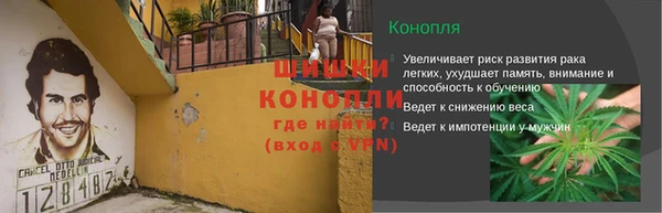 гидра Бородино