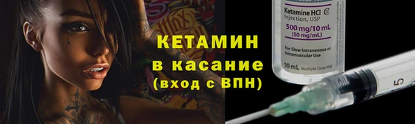 гидра Бородино