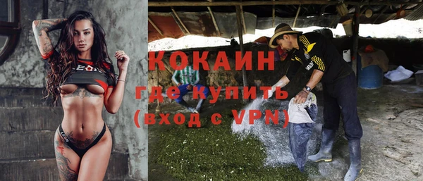гидра Бородино