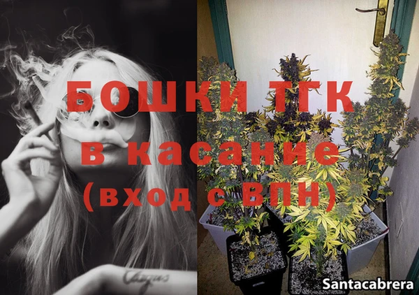 стаф Корсаков