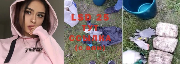 гидра Бородино