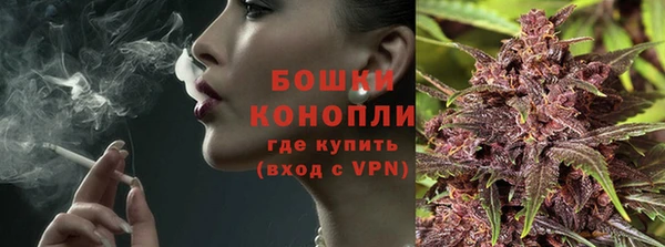 ешки Бронницы