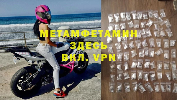гидра Бородино