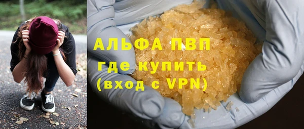 гидра Бородино