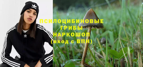 гидра Бородино