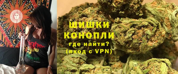гидра Бородино