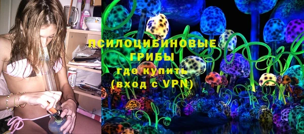 ешки Бронницы